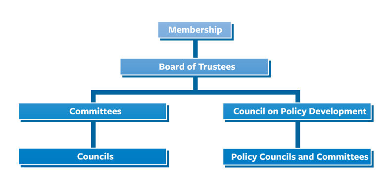 Member-Involvement-Flowchart - Texas Hospital Association