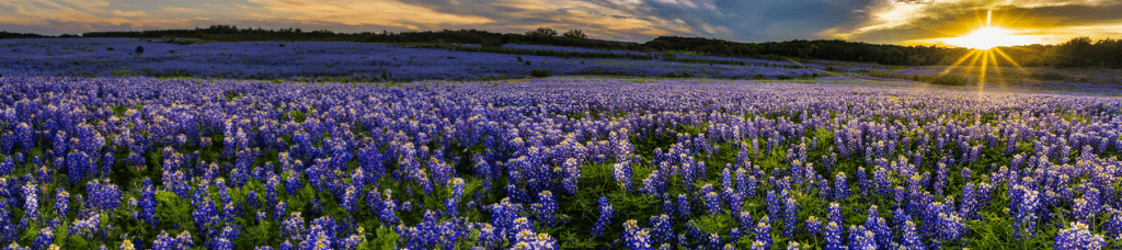 THA Membership Awards - Texas Hospital Association