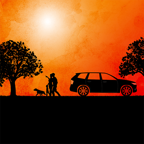 Surviving the Summer: Extreme Heat Safety in Texas